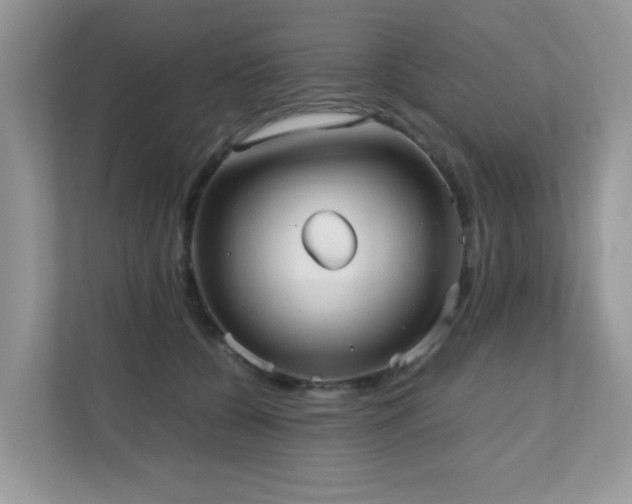X0000110730560200906121450
