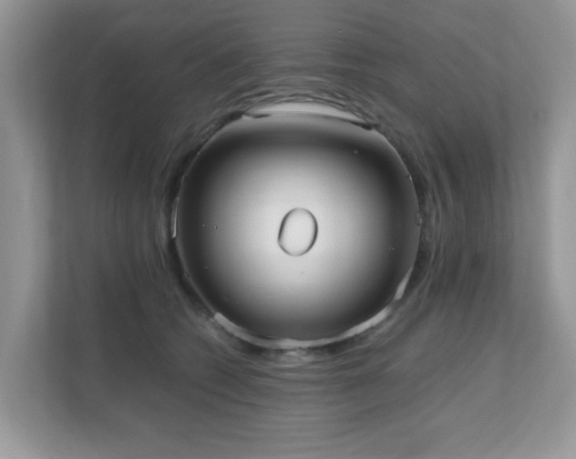 X0000110730562200906121450