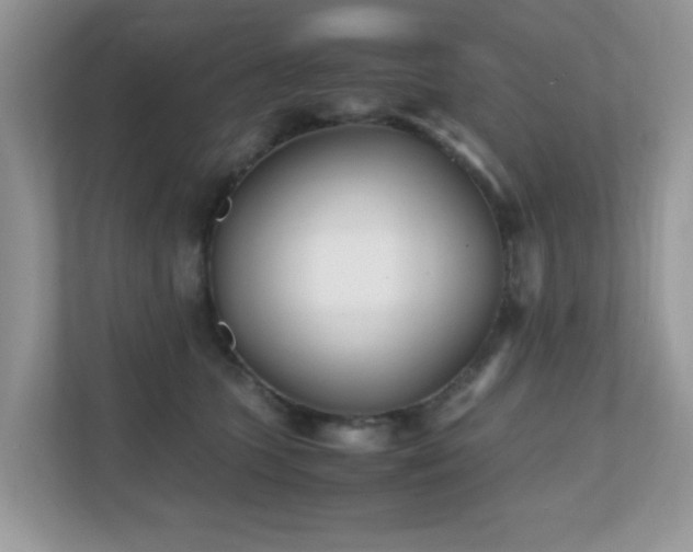 X0000110730563200906121451