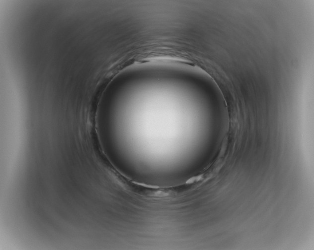 X0000110730566200906121451
