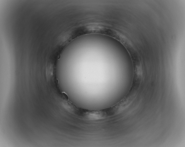 X0000110730567200906121451
