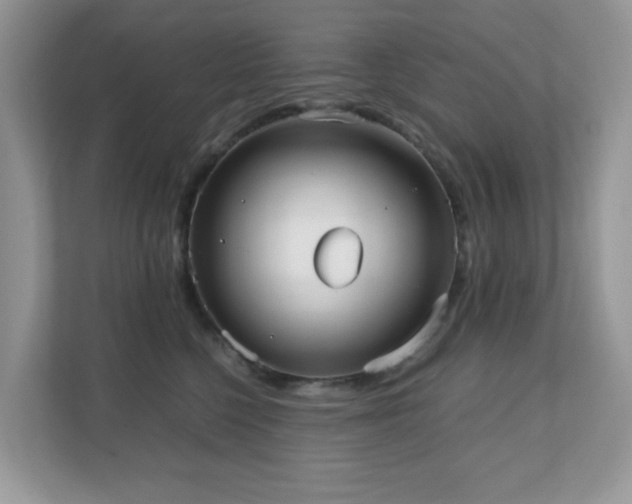 X0000110730568200906121451