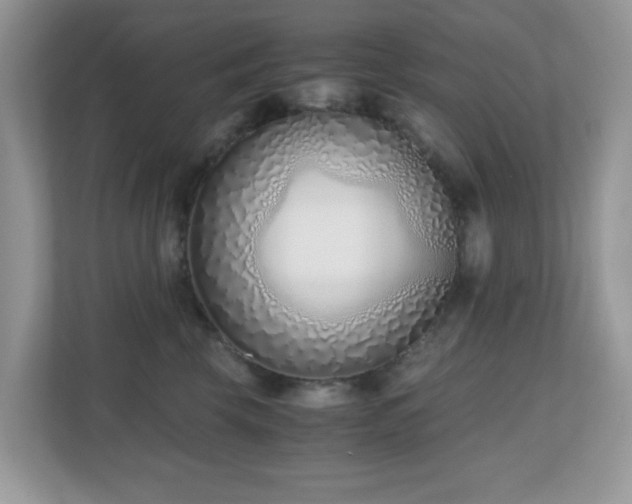 X0000110730569200906121451
