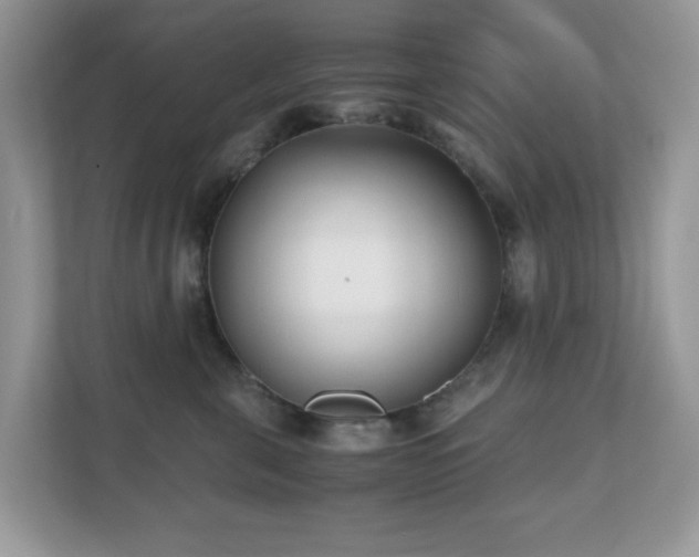 X0000110730571200906121451
