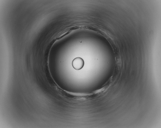 X0000110730572200906121451