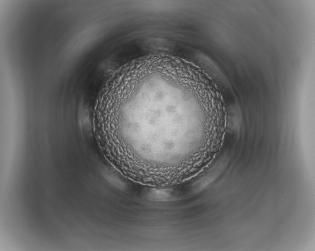X0000110730573200906121451