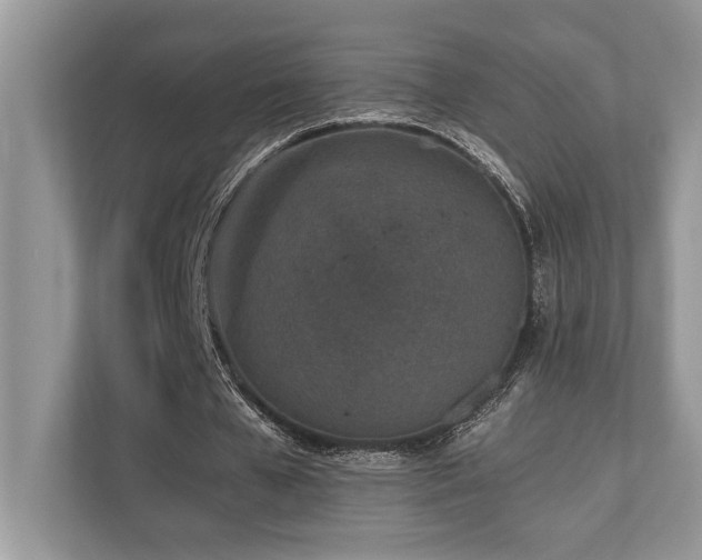 X0000110730577200906121450