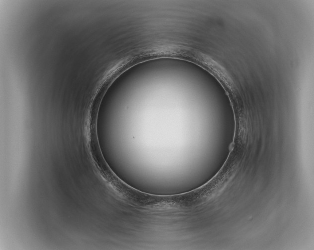 X0000110730578200906121450