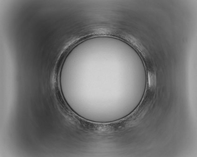 X0000110730579200906121450