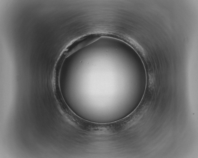 X0000110730580200906121450