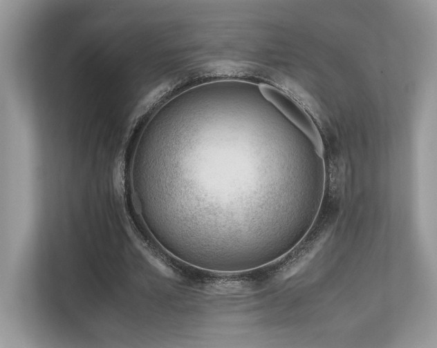 X0000110730581200906121450