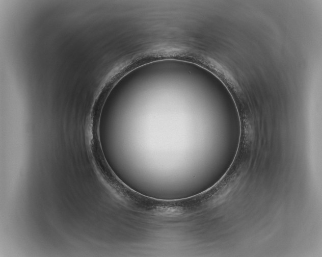 X0000110730582200906121450
