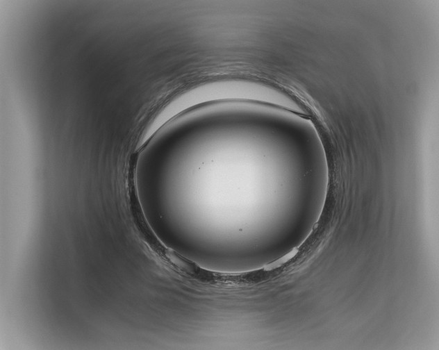 X0000110730585200906121450