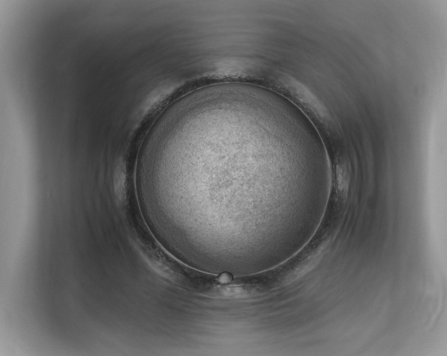 X0000110730588200906121450