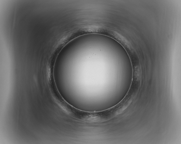 X0000110730589200906121450