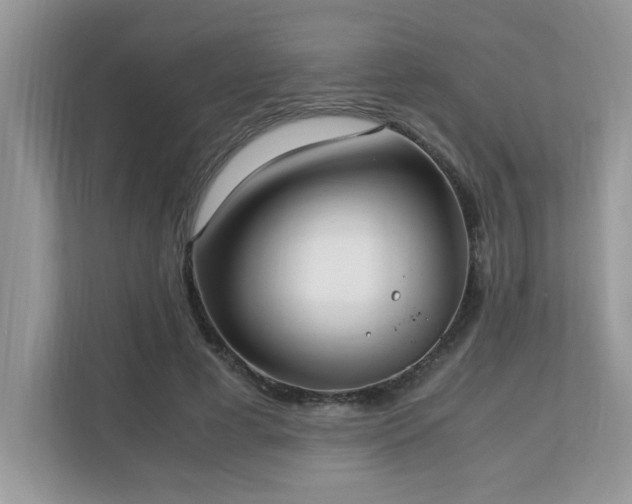 X0000110730593200906121450