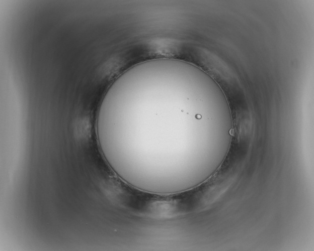 X0000110730595200906121450