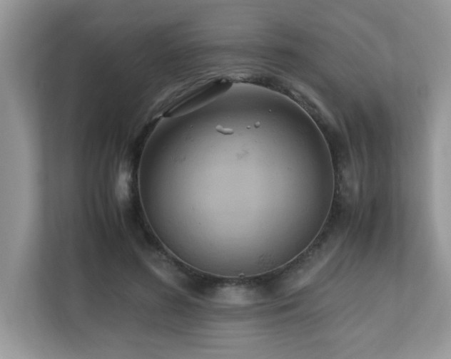 X0000110730596200906121450