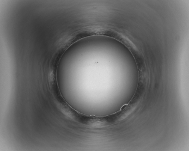 X0000110730597200906121450