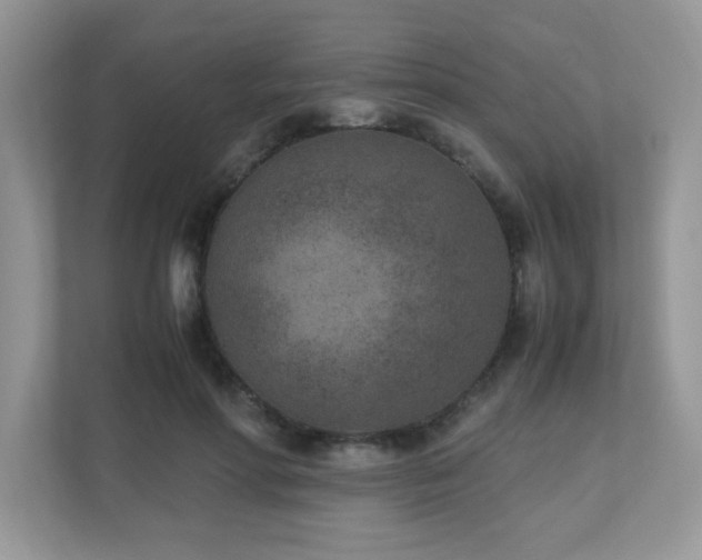 X0000110730598200906121450