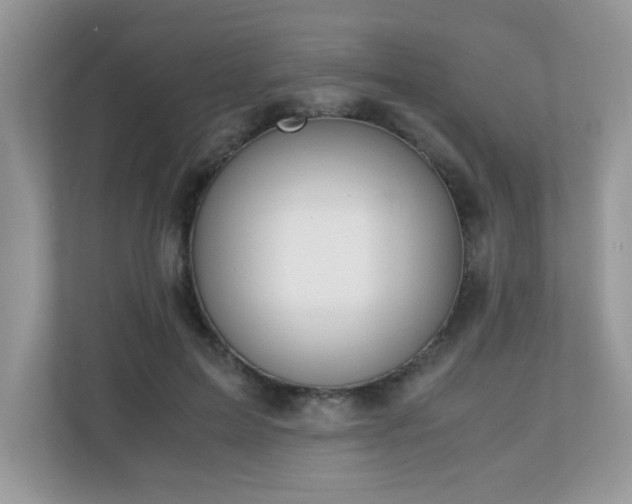 X0000110730599200906121450