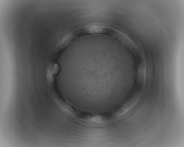 X0000110730600200906121450