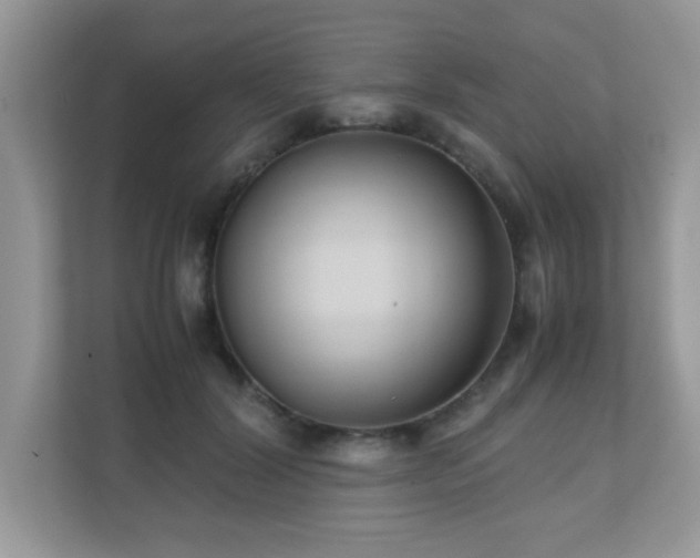 X0000110730604200906121450