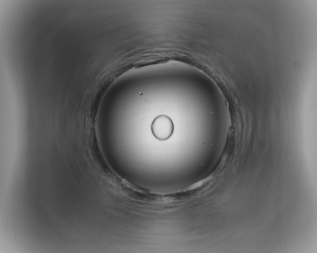 X0000110730609200906121450