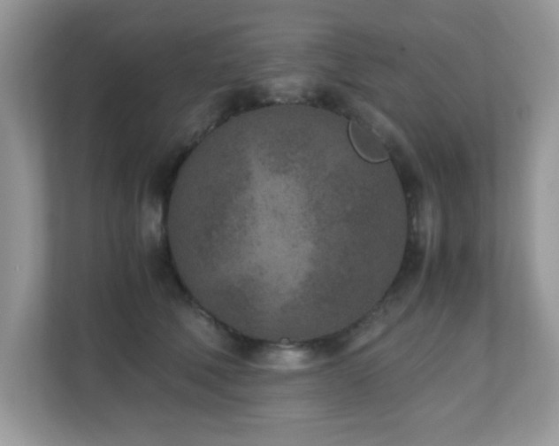 X0000110730610200906121450