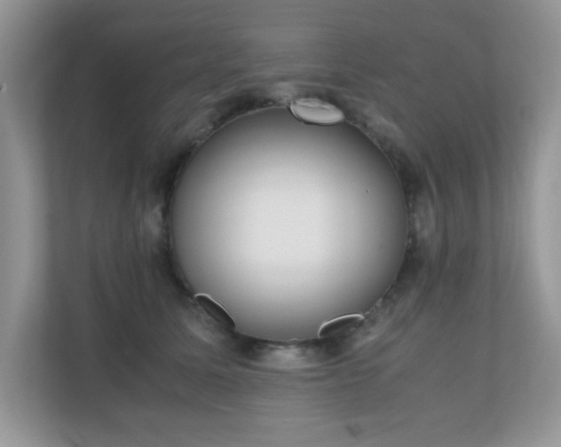 X0000110730611200906121450