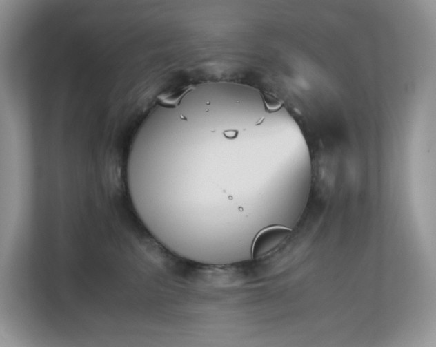 X0000110730615200906121450