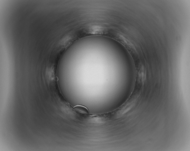 X0000110730620200906121449