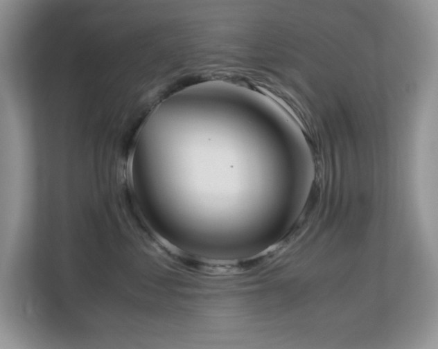 X0000110730621200906121449