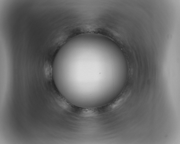 X0000110730624200906121449
