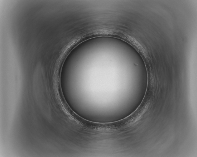 X0000110730625200906121449
