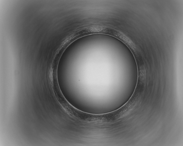 X0000110730626200906121449