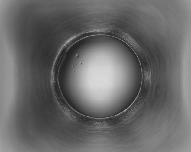 X0000110730628200906121449