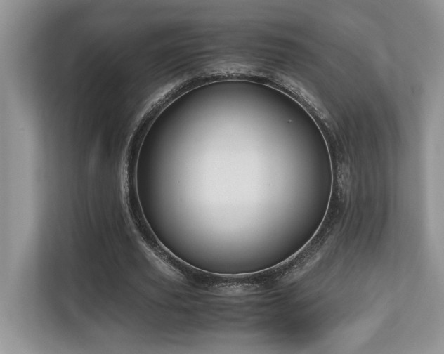 X0000110730629200906121449