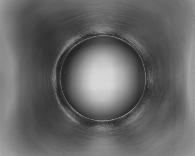 X0000110730630200906121449