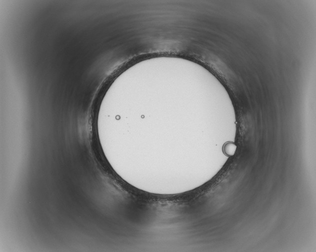 X0000110730632200906121449