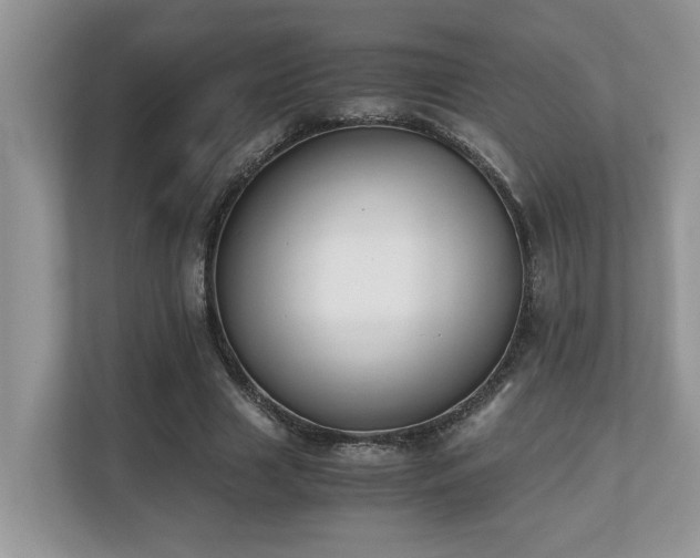 X0000110730633200906121449
