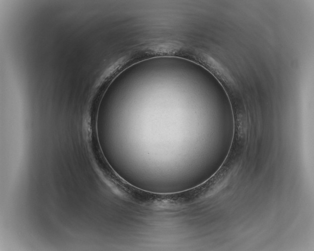 X0000110730634200906121449
