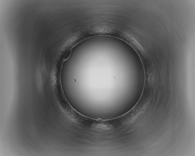 X0000110730635200906121449