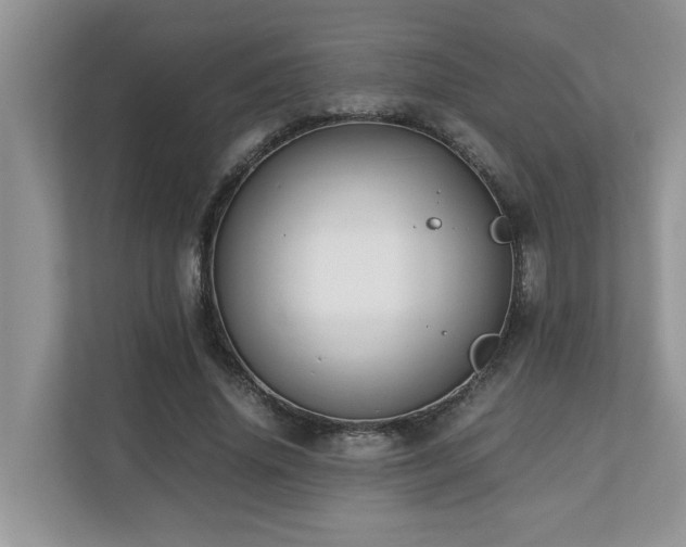 X0000110730636200906121449