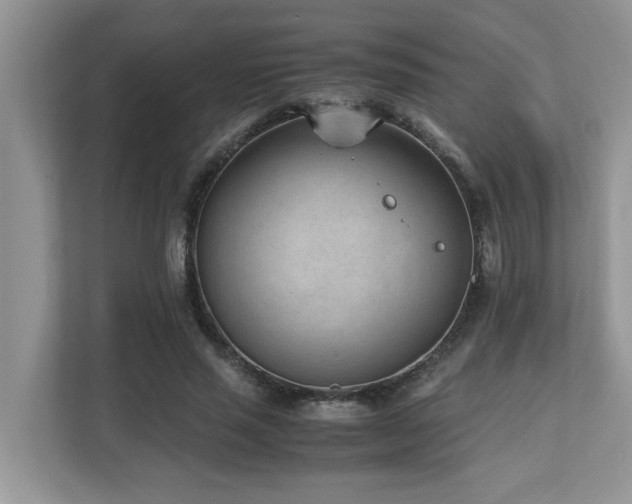X0000110730637200906121449