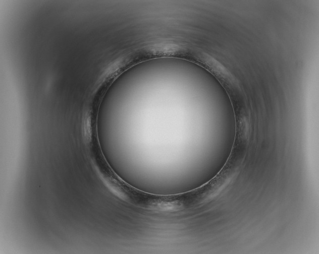 X0000110730638200906121449