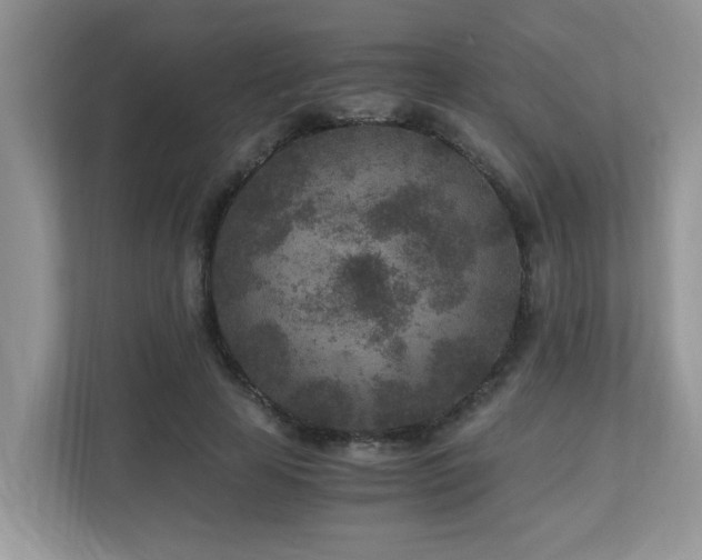 X0000110730641200906121449