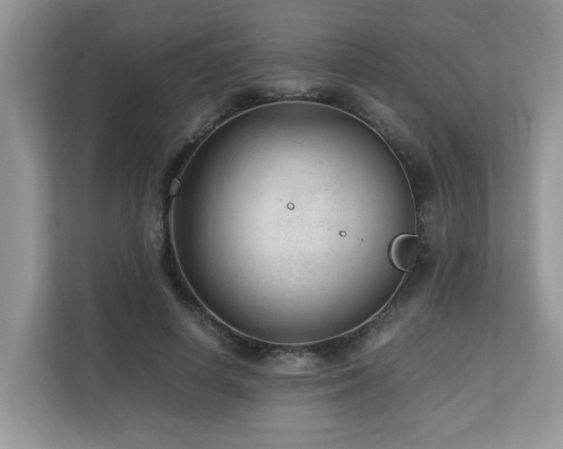 X0000110730642200906121449