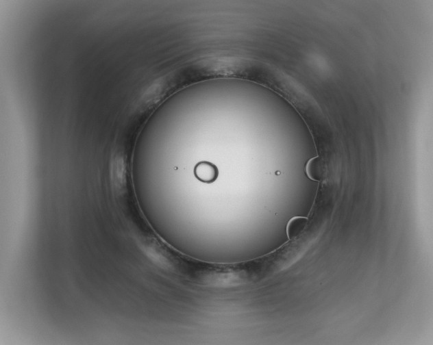 X0000110730646200906121449
