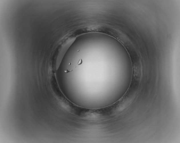 X0000110730648200906121449